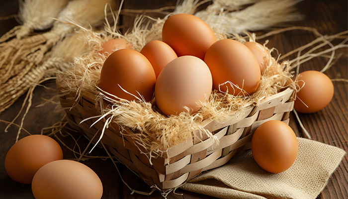 未标题-11.jpg 未标题-11.jpg