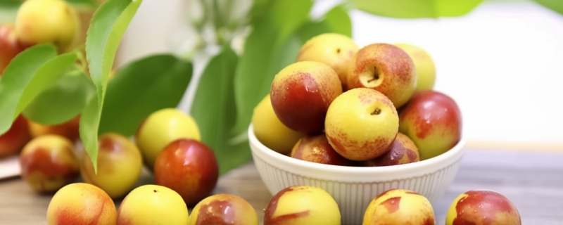 冬枣和青枣的区别