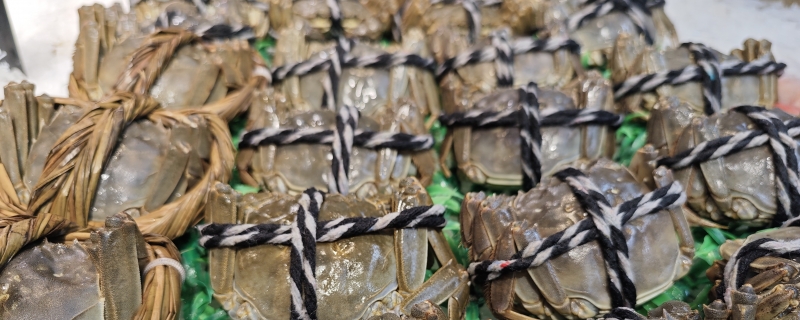 夏天大闸蟹放多久不能吃