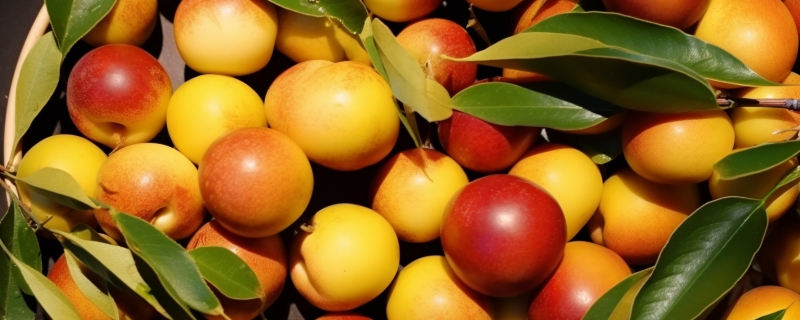 冬枣可以放冰箱保鲜吗