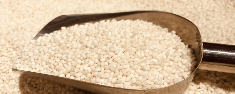 圆江米是糯米吗