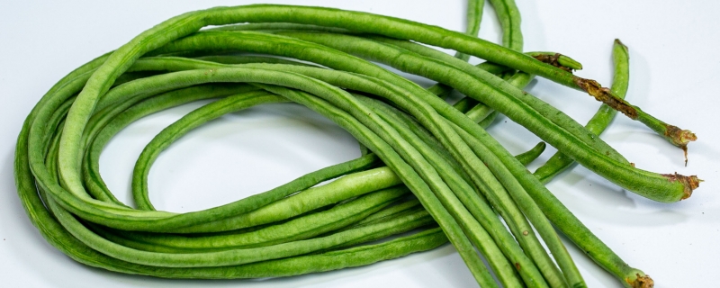 豆角的做法大全家常菜
