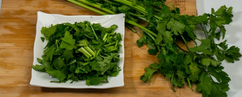 香菜怎么保存新鲜不烂