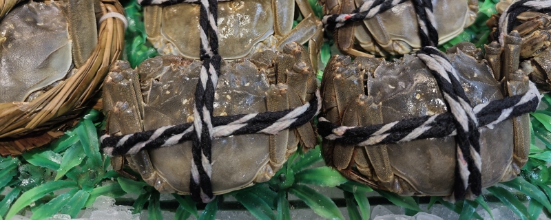 大闸蟹冰箱怎么保存