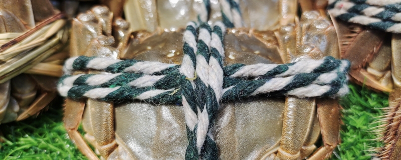 怎么鉴别大闸蟹是死的