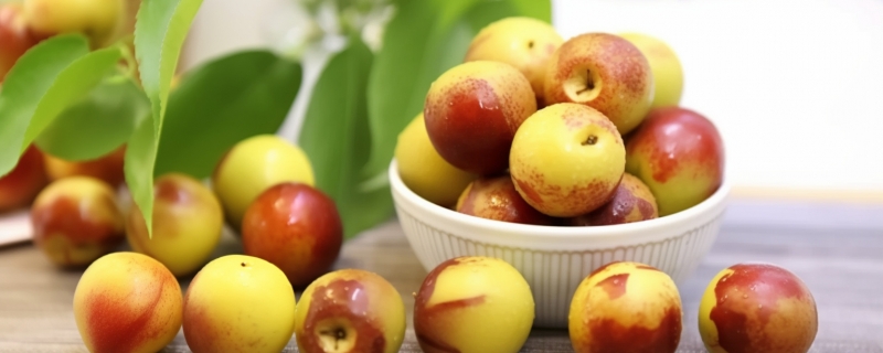 冬枣几月份成熟上市