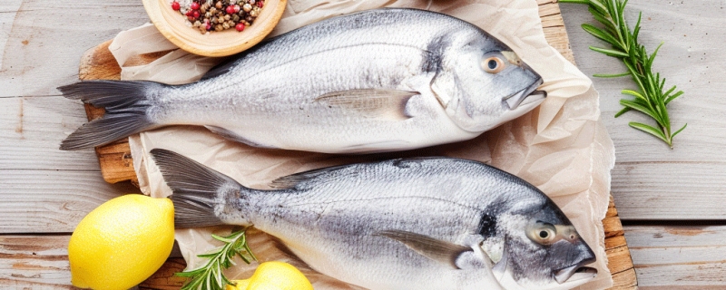 被称为软黄金的是什么鱼