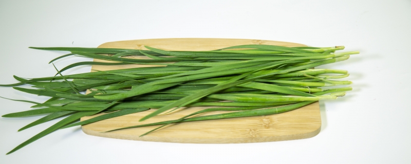 韭菜的做法大全家常菜