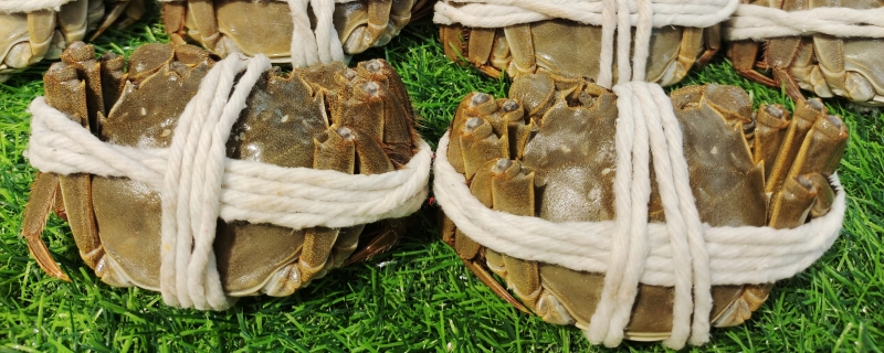 大闸蟹的蟹黄是怎么形成的