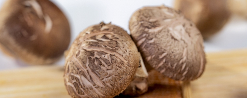 素炒香菇的家常做法大全