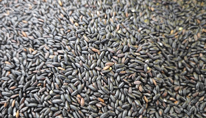 大米和黑米一起吃的好处