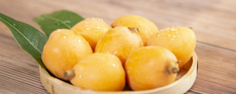 枇杷成熟的季节是几月