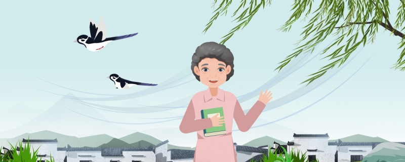 春饼怎么做又薄又软又好吃2024