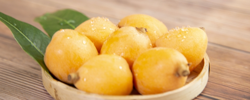 枇杷怎么保存可以放得更久