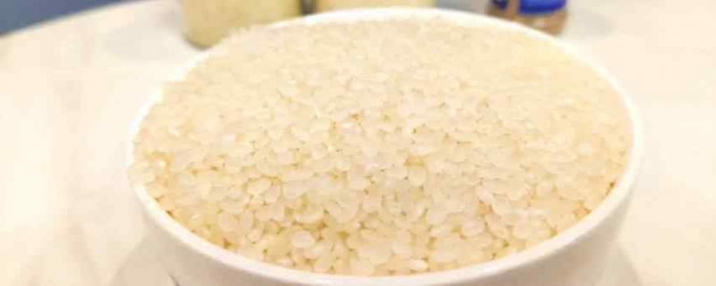 大米怎么保存不生虫子