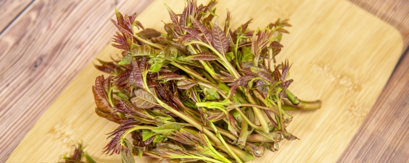 香椿放冰箱能保存多久