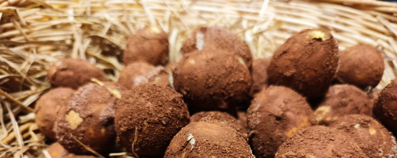 十斤鸭蛋放多少盐腌咸鸭蛋