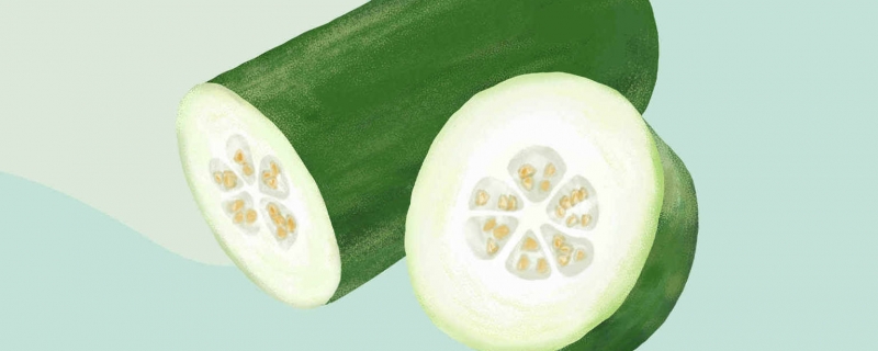 冬瓜不能和什么一起吃